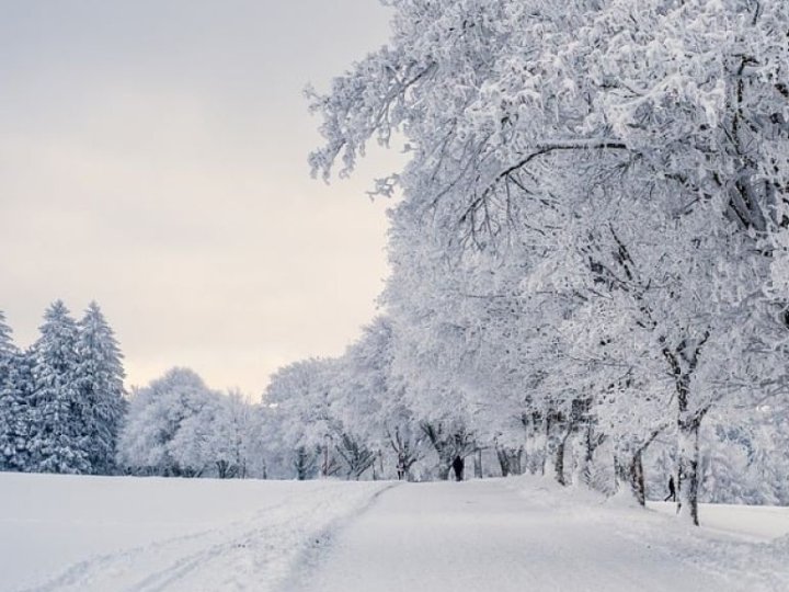 Якою буде погода у Луцьку та на Волині у неділю, 25 січня