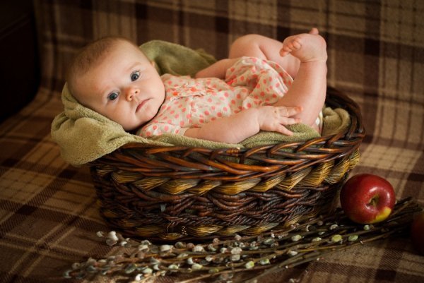 Фотовиставка Роксолани Несторук