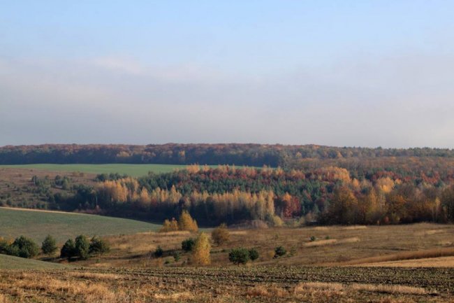 Осінні пейзажі Волинської височини: неймовірні фото