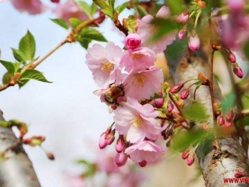 Погода в Луцьку та Волинській області на п’ятницю, 10 квітня