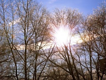Синоптики розповіли, коли на Волинь прийде температурна весна 