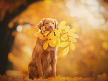 Погода в Луцьку та Волинській області на середу, 16 вересня