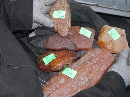 Контрабанда по-волинськи: замість подушки безпеки - понад кілограм бурштину. ФОТО