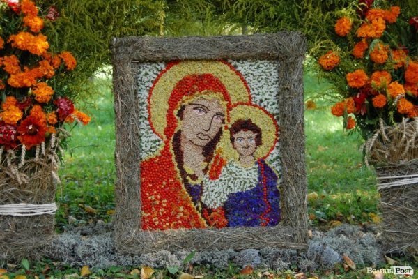 У День міста в Луцьку відбулося свято квітів. ФОТО