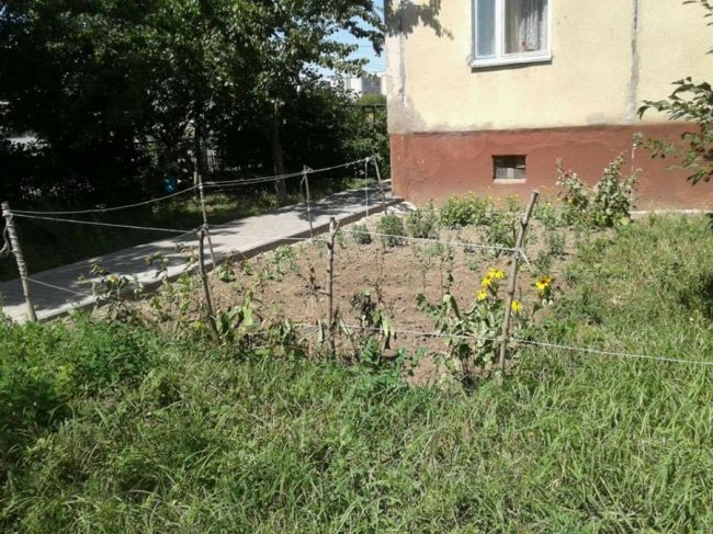 У Луцьку муніципали знесли «незаконні» паркани