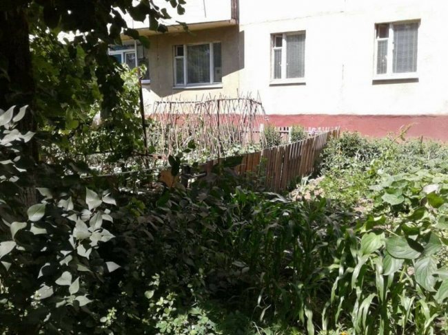 У Луцьку муніципали знесли «незаконні» паркани