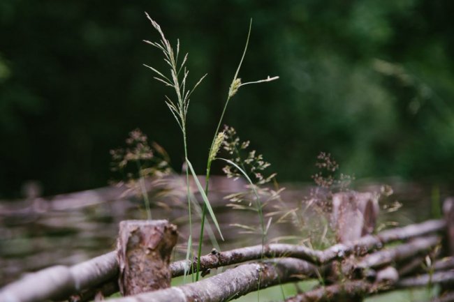 Луцька фотографка показала красу загадкового Черемського болота 