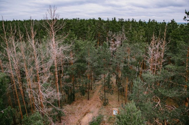 Луцька фотографка показала красу загадкового Черемського болота 