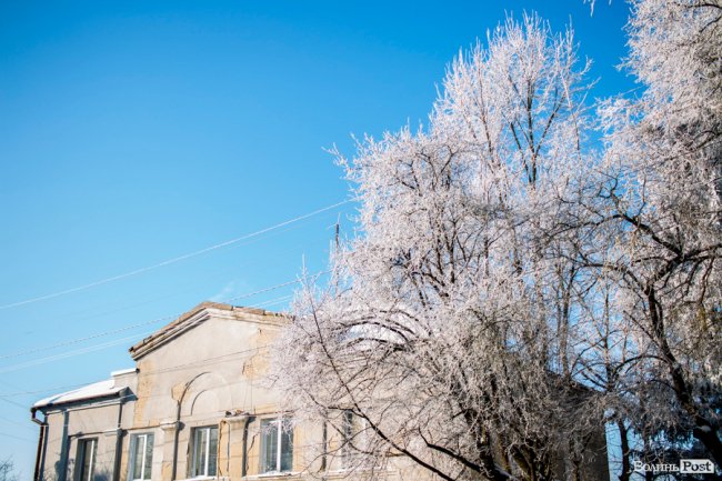 Луцьк – у кришталевій паморозі: казкові світлини різдвяного ранку. ФОТО