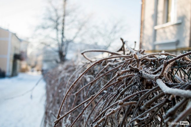 Луцьк – у кришталевій паморозі: казкові світлини різдвяного ранку. ФОТО
