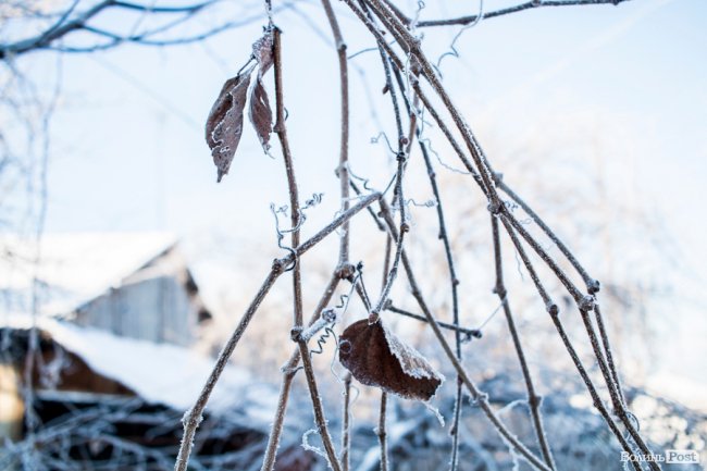 Луцьк – у кришталевій паморозі: казкові світлини різдвяного ранку. ФОТО