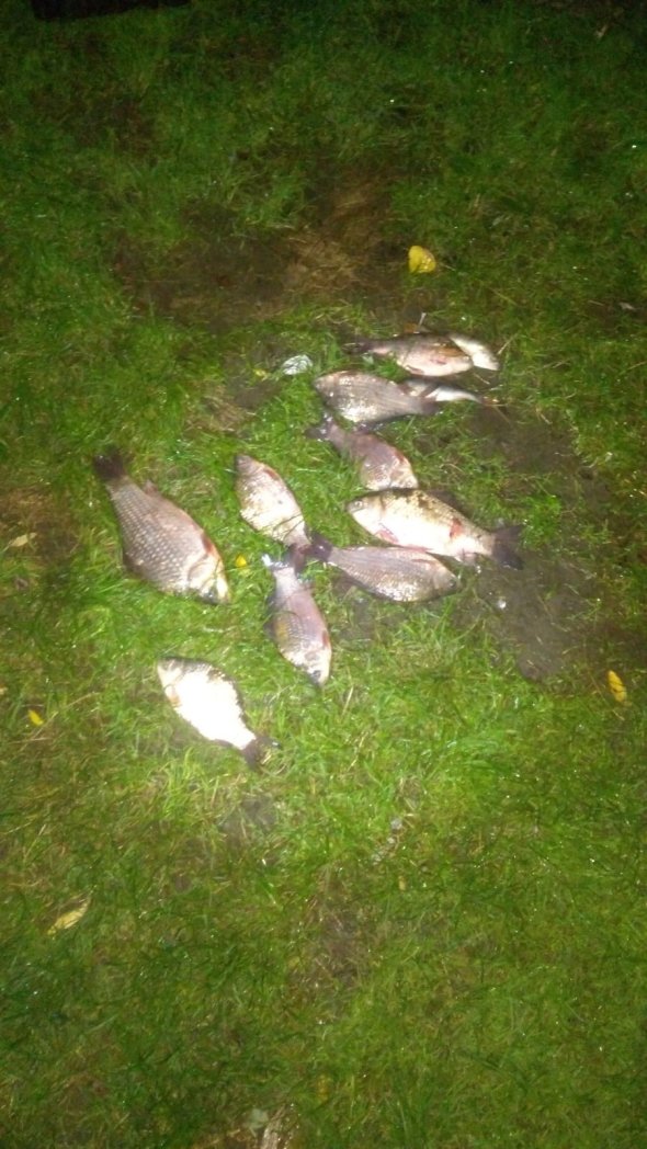 На волинському водосховищі зловили браконьєра. ФОТО