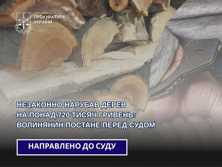 Судитимуть 21-річного волинянина, який зрубав 120 дерев