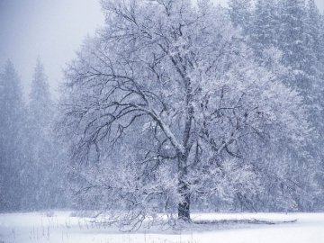 Погода в Луцьку та Волинській області на середу, 30 листопада
