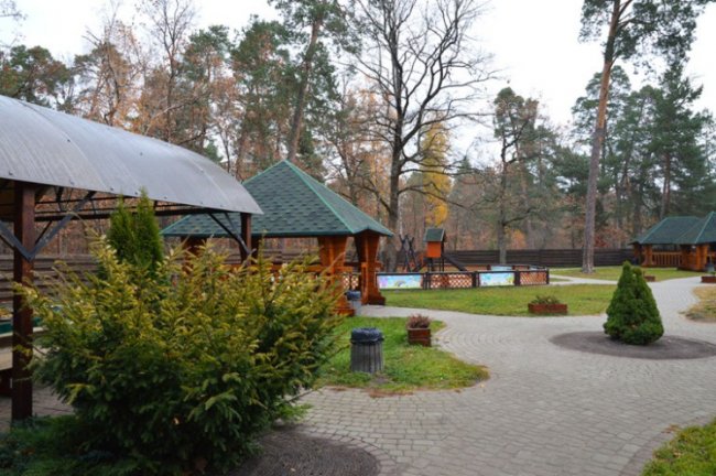 У волинському лісі – новий екомаршрут. ФОТО