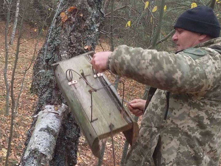 На Волині у нацпарку знайшли пастки браконьєрів. ФОТО