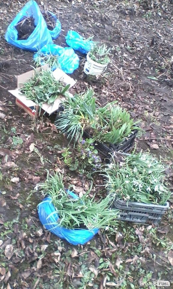 У Луцьку буде більше креативного простору для дітей учасників АТО. ФОТО