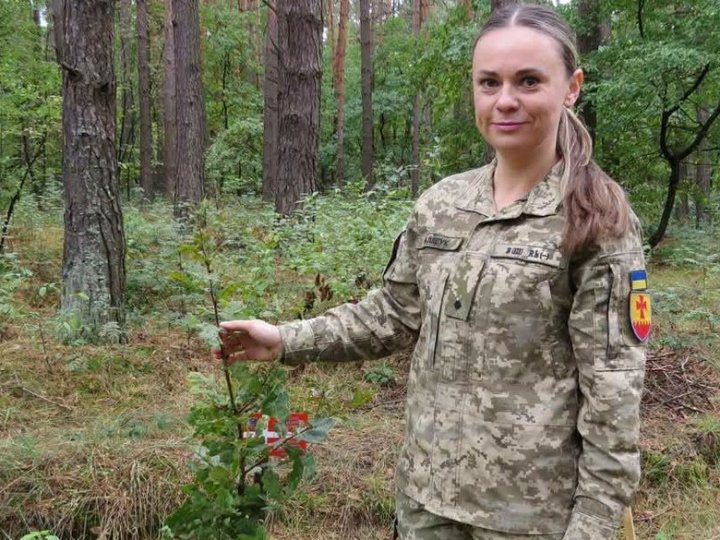 На Волині в нацпарку висадили дуби на Алеї Героїв. ФОТО