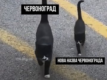 Люди обрали для Червонограда на Львівщині нову назву – Червоноград