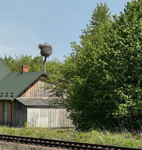 На «Ягодині» встановлять додаткові скануючі системи