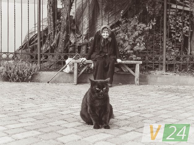 Історія гордого Мурчика, або Як чорний кіт потрапив у луцький монастир