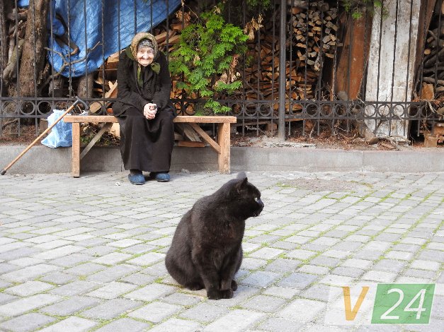 Історія гордого Мурчика, або Як чорний кіт потрапив у луцький монастир