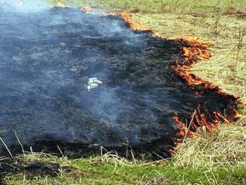 У Локачинському районі згоріло 9 гектарів трави