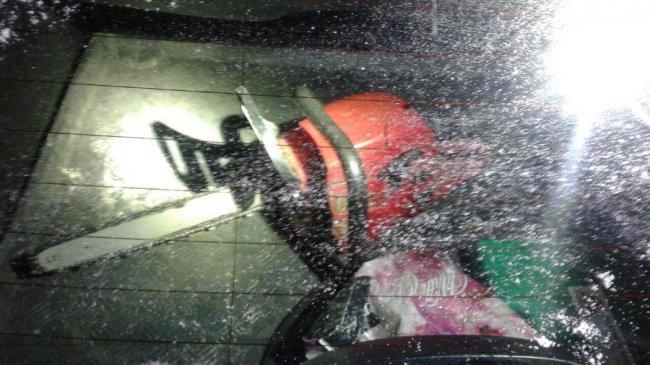 Троє крадіїв лісу, втікаючи, залишили BMW з документами. ФОТО