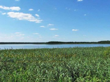 Жителі Шацького району вимагають «мораторію» на виділення землі