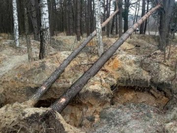 Незаконним бурштином на Волині займеться група на чолі зі Швидким