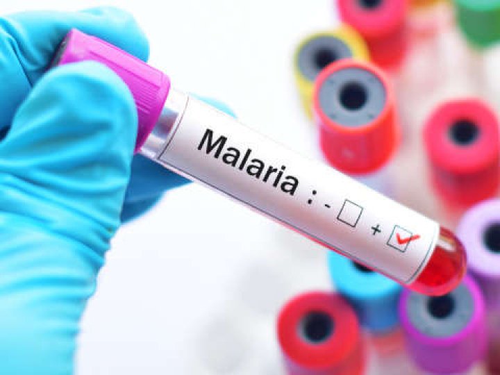 У Рівному жінка захворіла на тропічну малярію