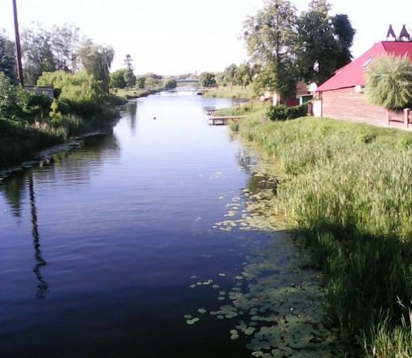 Попри ризик зараження, ковельчани купаються в Турії. ФОТО