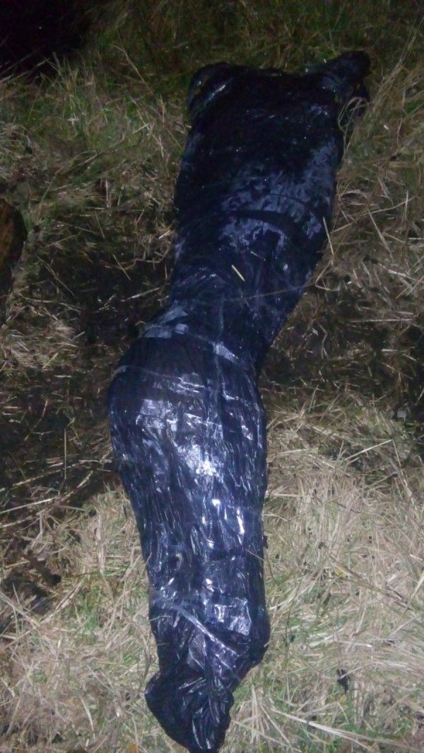 Бойовик на Волині: лише постріли по колесах зупинили злочинців