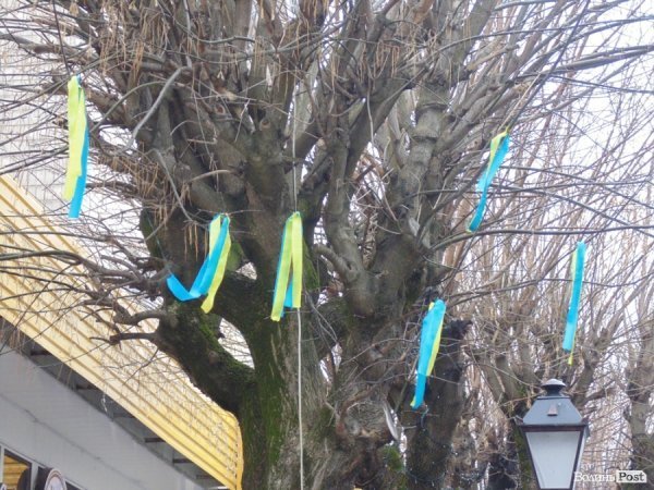 Вулицю в центрі Луцька «забомбили» синьо-жовтими стрічками. ФОТО