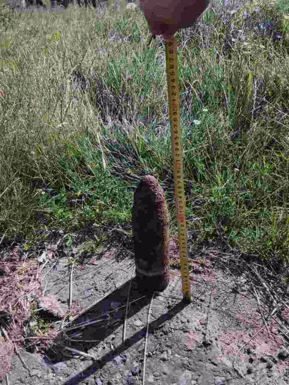 Волинянин під час відпочинку на річці знайшов міну