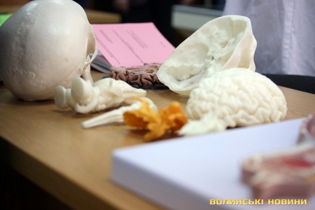 Сучасний освітній простір: як оновлять медичний факультет ВНУ за 13 мільйонів