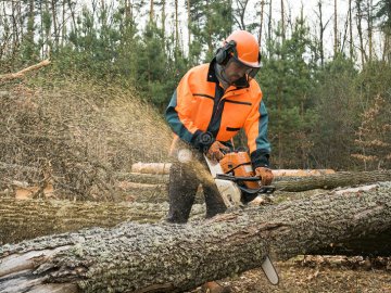 Лучани просять зрізати аварійні дерева у місті