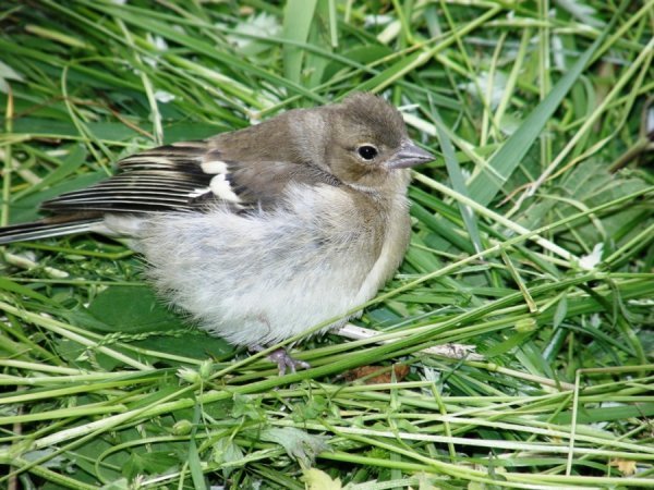 Фотовиставка Світлани Зозулі