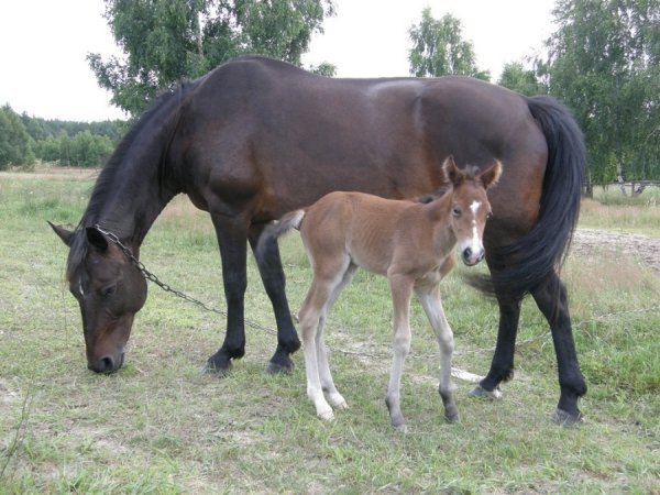 Фотовиставка Світлани Зозулі