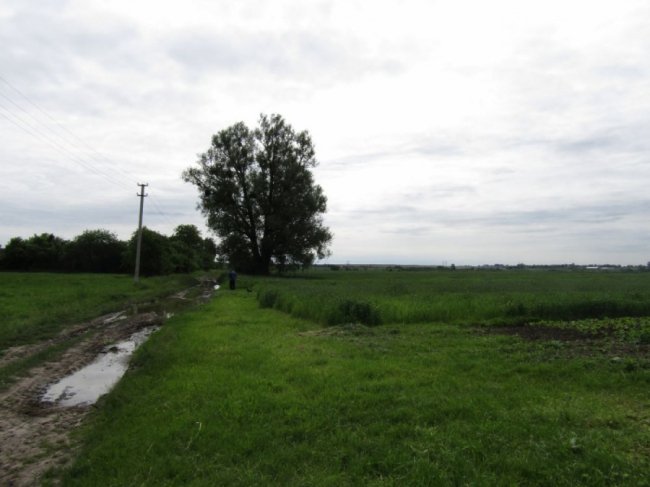 Колись людне село на Волині перетворилось на хутір, де проживає лише дві людини. ФОТО