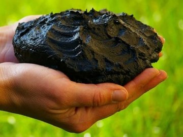 На Волині видобувають унікальне органічне добриво