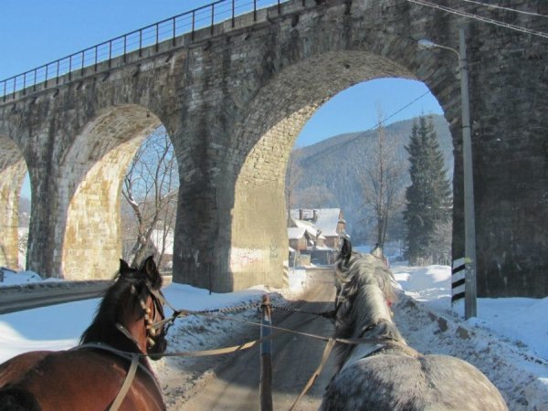  Автор  Марія Доманська