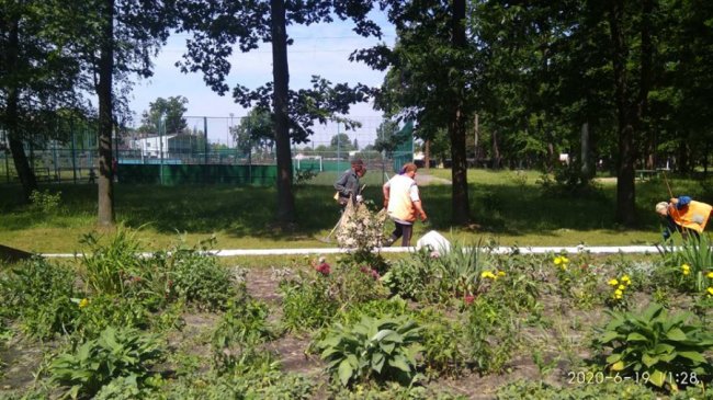 У місті на Волині під час буревію з корінням повиривало дерева 