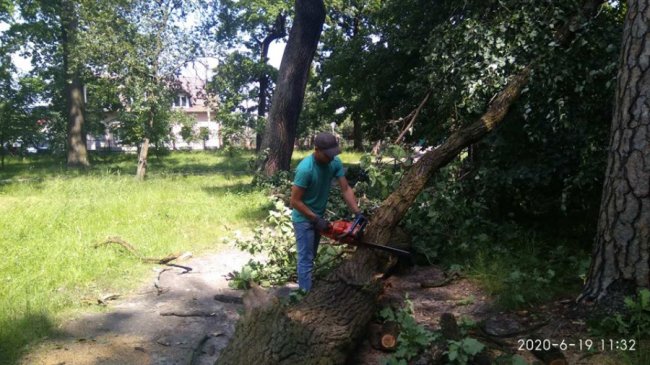 У місті на Волині під час буревію з корінням повиривало дерева 