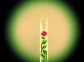 Україна надзвичайна: неймовірні факти про країну. ФОТО