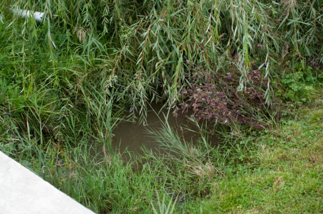 Ігор Чайка: «На «Сільмаші» у Ковелі живуть небайдужі люди, які хочуть, щоб їх почули»*