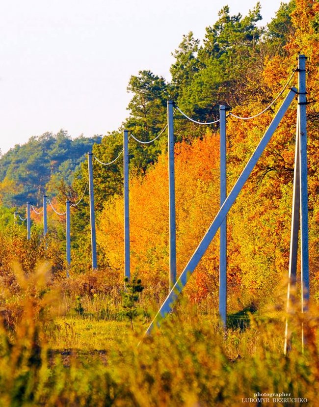 Роса і павутинки: луцький фотограф поділився осінніми світлинами