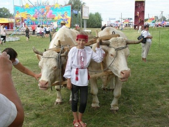 Стартував «Сорочинський ярмарок-2013». ФОТО