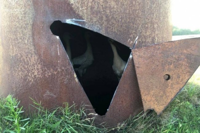 На Волині врятували сім’ю лелек, яка провалилась у водонапірну вежу. ФОТО