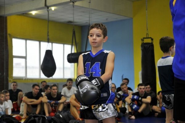 Як у Луцьку готують чемпіонів з тайського боксу